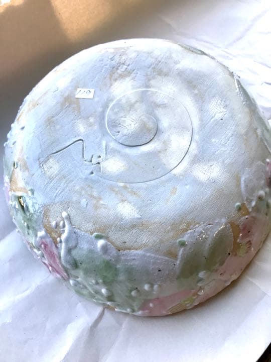 新山光哉　大鉢　雪椿　箱入り