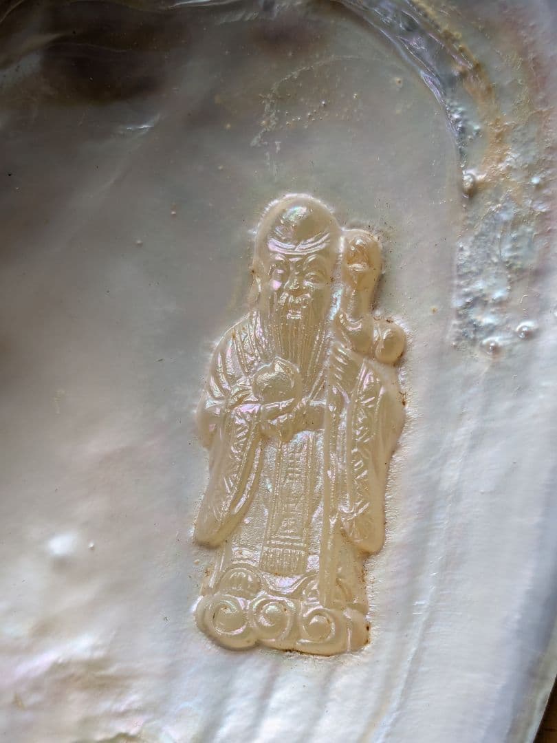 仏像真珠／淡水パール母貝 no.106