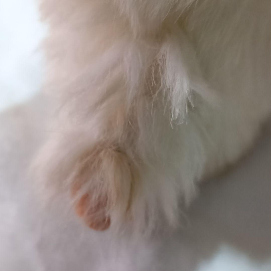 昭和レトロ　80s ベムベム　セキグチ　ソフビぬいぐるみ 雪男