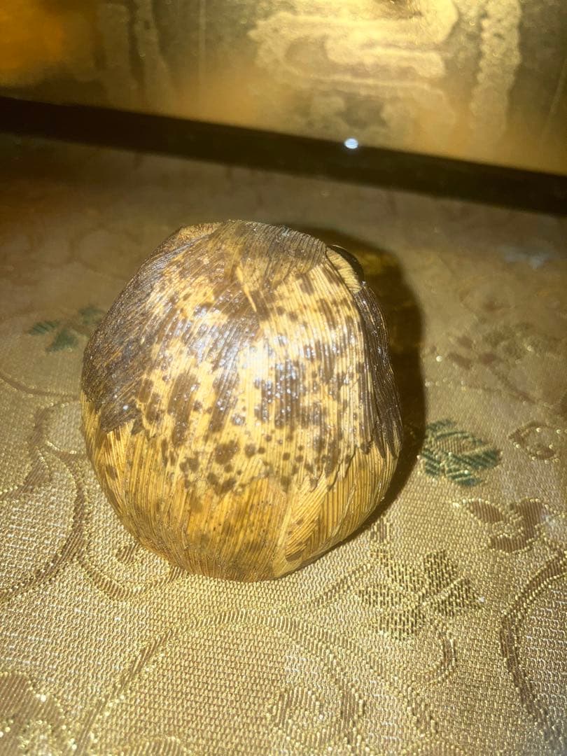 《特級呪物》呪いをかけ禍いをもたらす梟の置物　曰く付き　呪物　怪奇現象　呪怨