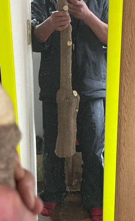 引っ越しに伴いお値下げ！国産山椒の木　すりこぎ　　直径約11.5cm 棍棒サイズ