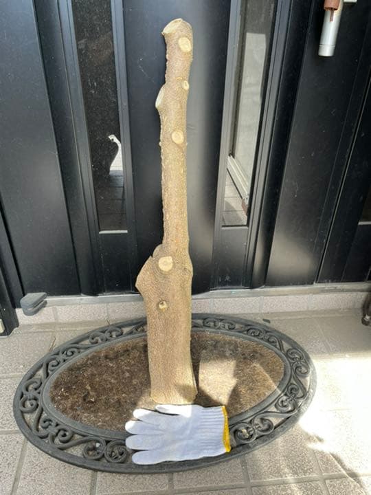 引っ越しに伴いお値下げ！国産山椒の木　すりこぎ　　直径約11.5cm 棍棒サイズ