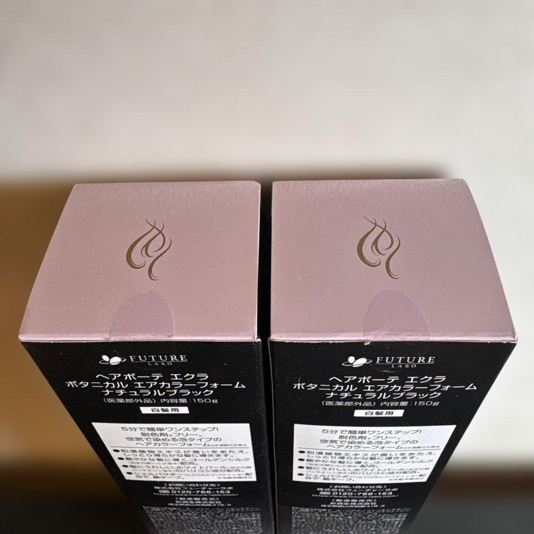 ヘアボーテエクラ　エアカラーフォーム（ナチュラルブラック）150g 2本セット