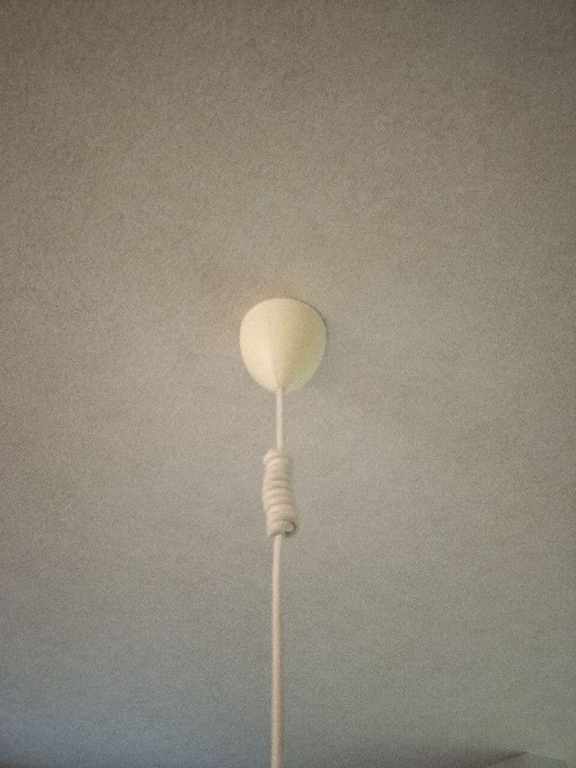 【正規品】 ポールヘニングセン PH5 PH50 ワサビグリーン