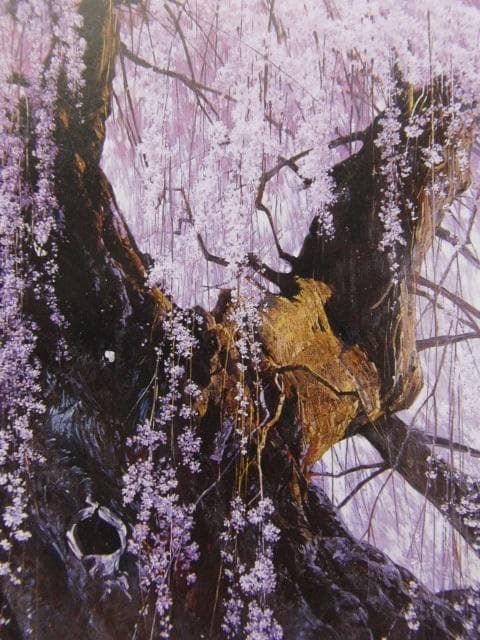 三栖右嗣、【爛慢】、希少な大判額装用画集より、美品、日本人画家、新品額装付