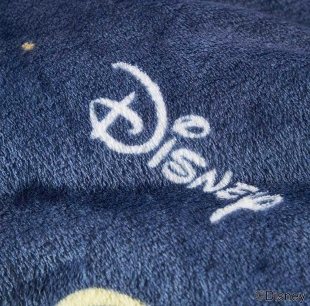 ラスト品❣️ ディズニー あったか カバーリングセット 3点セット(シングル)