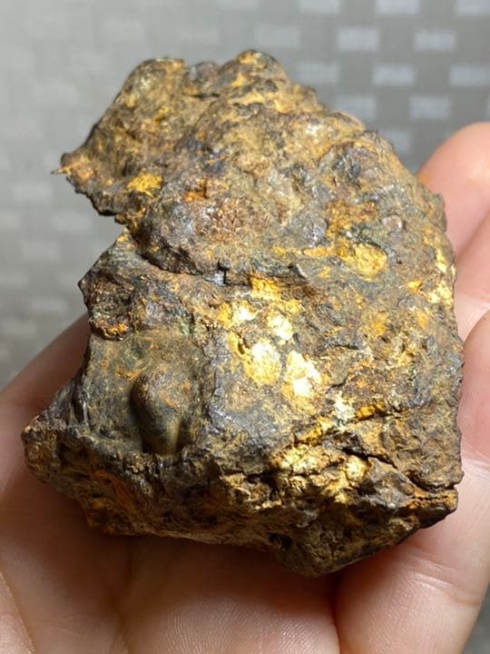 パラサイト隕石　253g セリコ隕石原石　希少　Bigサイズ メテオライト