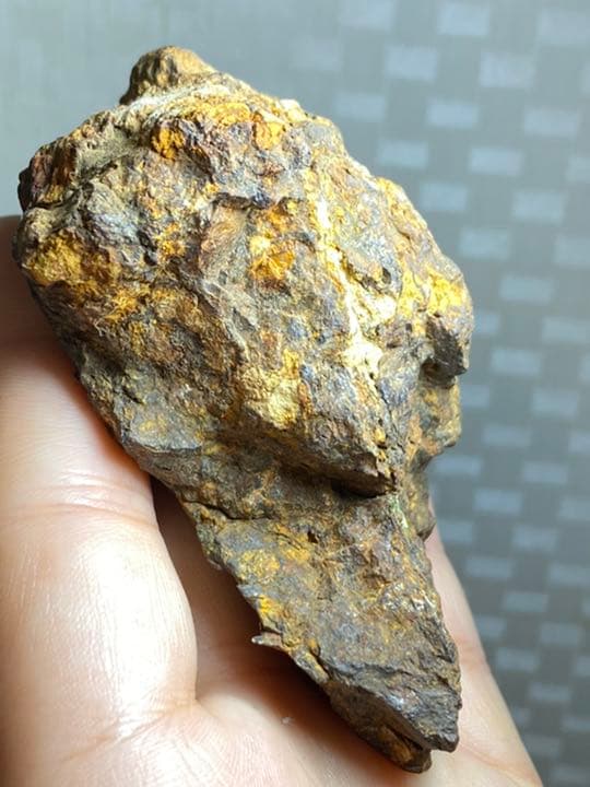 パラサイト隕石　253g セリコ隕石原石　希少　Bigサイズ メテオライト