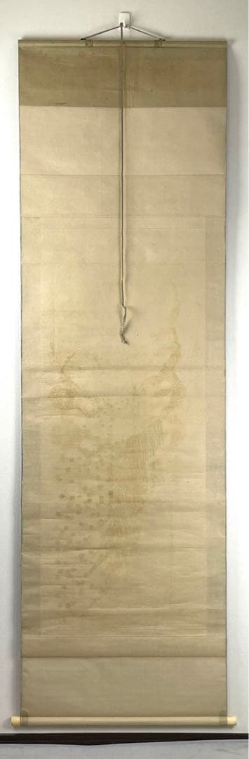 日本画 熊斐銘 孔雀図 掛軸 肉筆 絹本 時代箱付 古美術 4C06-11 - メルカリ