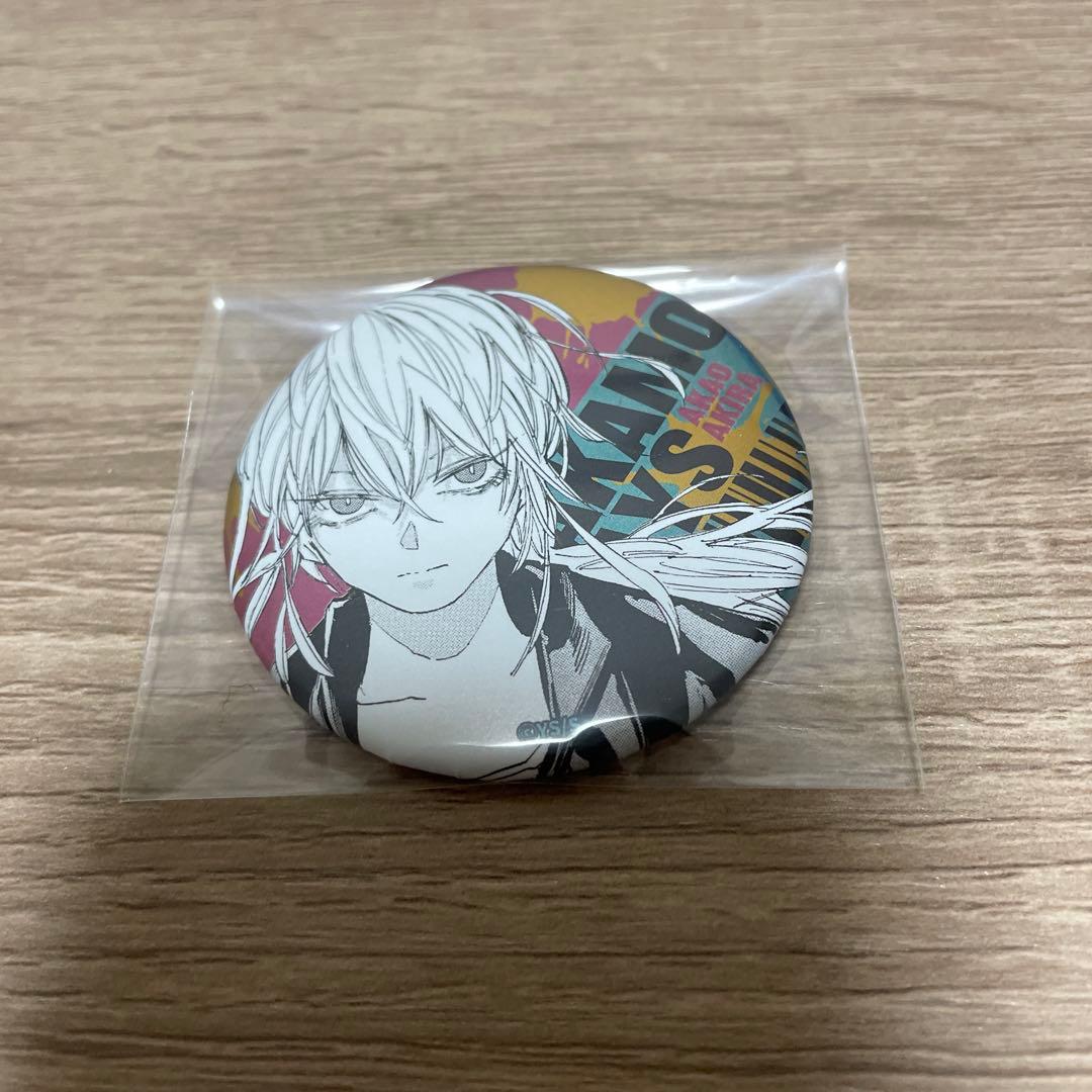 サカモトデイズ 赤尾晶 デコレクション缶バッジ(R) 第2弾 - メルカリ
