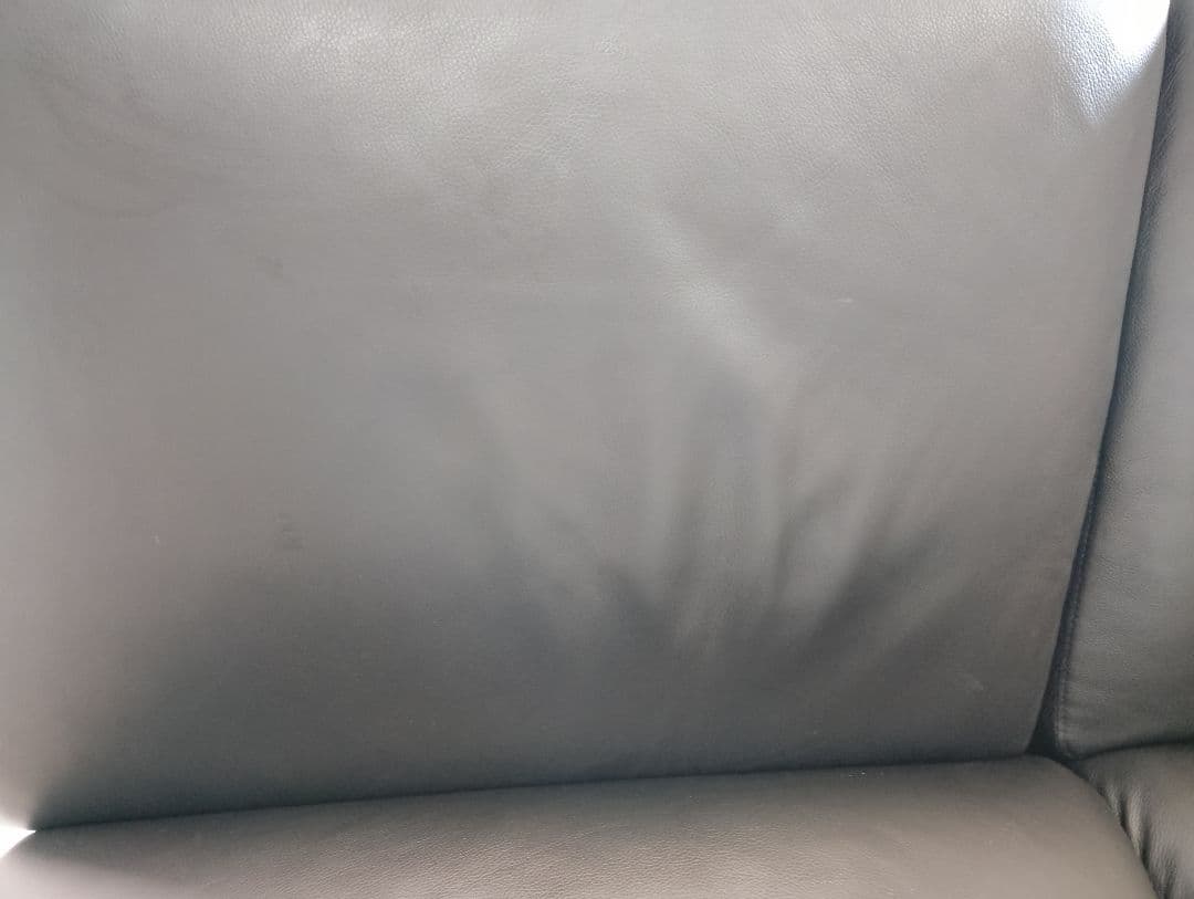 ２人掛片肘ソファ 全国配送設置無料 セット購入 エスティック 皮革 spazio