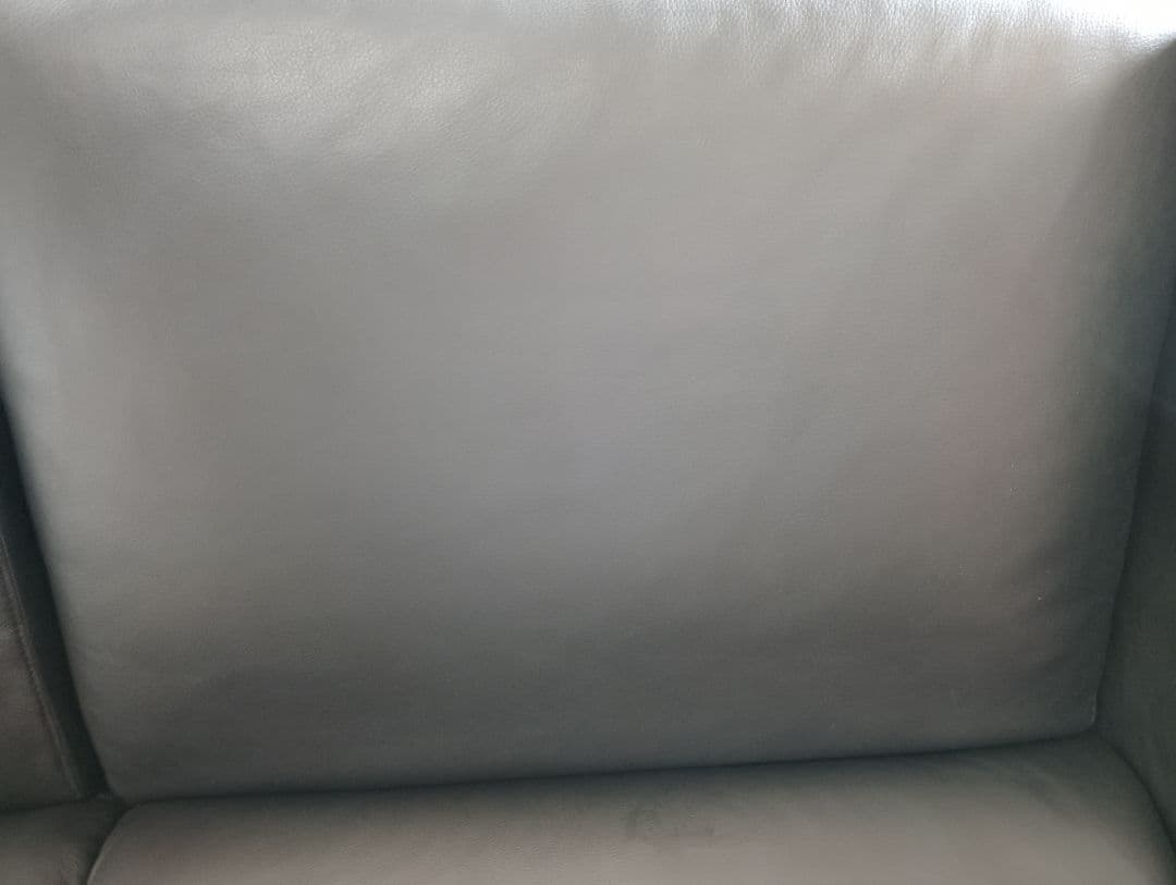 ２人掛片肘ソファ 全国配送設置無料 セット購入 エスティック 皮革 spazio