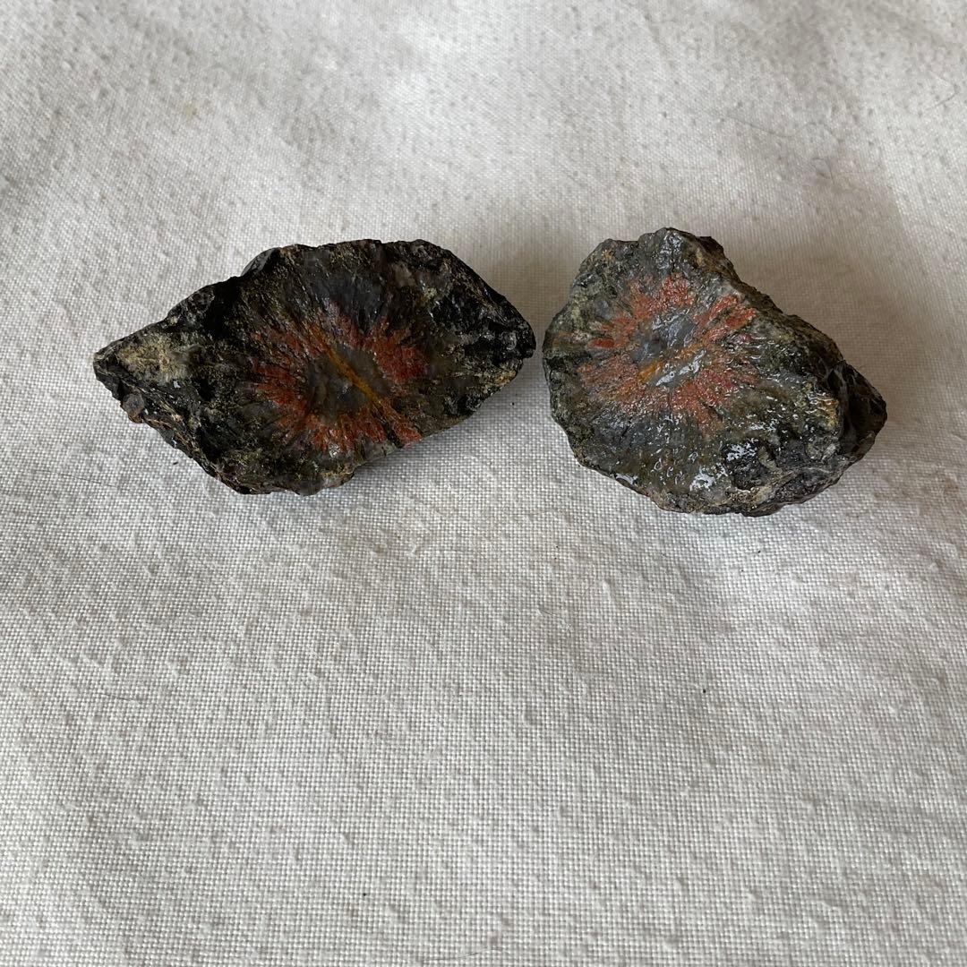 【ペア】【対】菊花石　D93