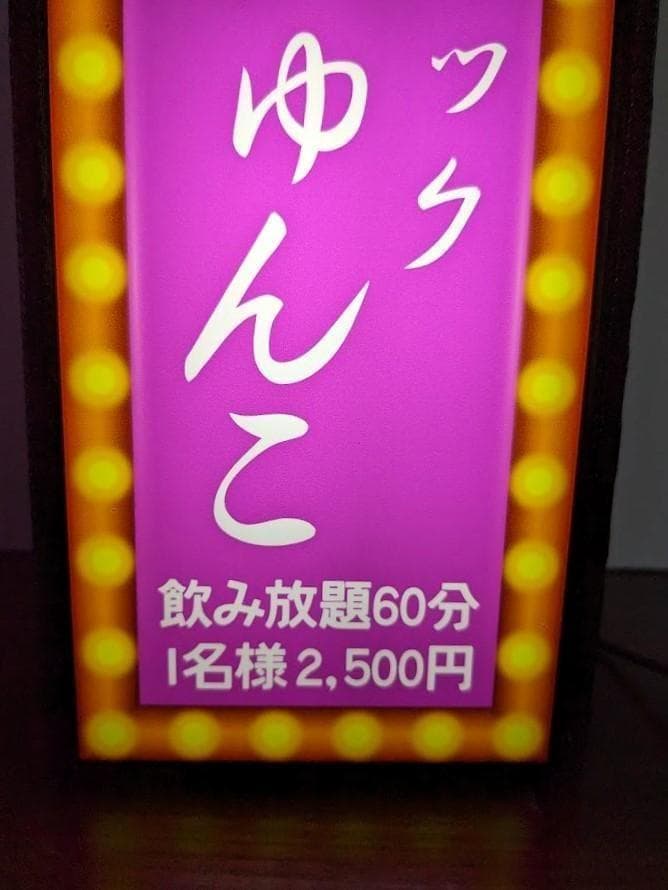 ニーナのジャンクジャーナル店【Lサイズ】看板 ライトBOX