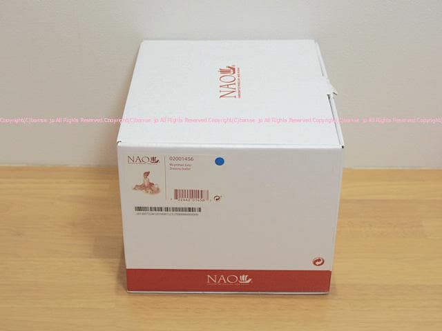新品⭐️NAO ナオ 正規品 夢見るバレリーナ 初めてのチュチュ 箱有/リヤドロ
