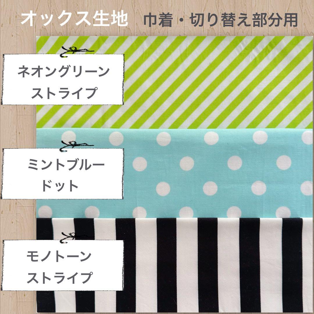 入園　入学　ランチョンマット　巾着　他　恐竜　新幹線　車　昆虫　オーダーページ
