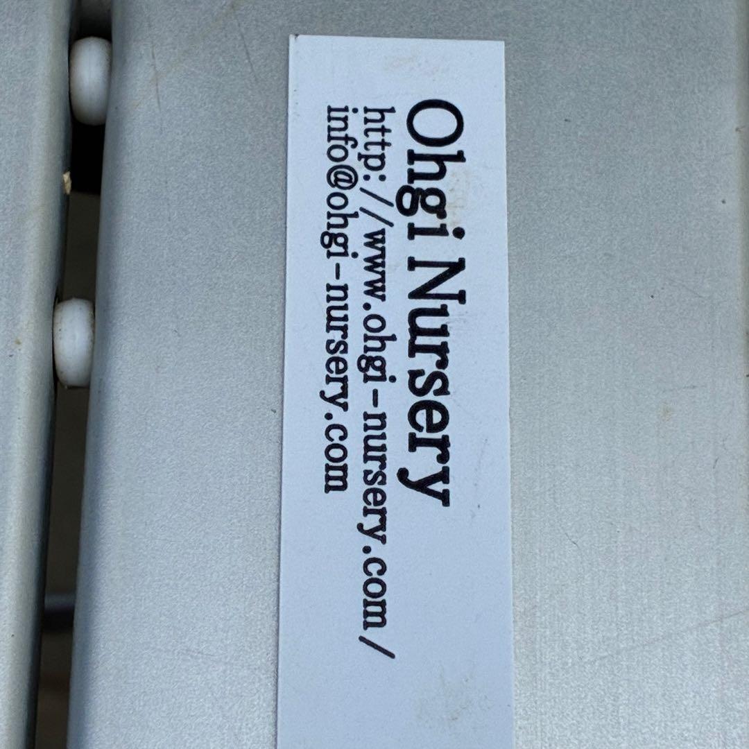 3551☘️蕾花付☘️超希少☘️筒型SD⭐️ポーセリン⭐️小輪⭐️ぼかし⭐️超コンパクト⭐️大木