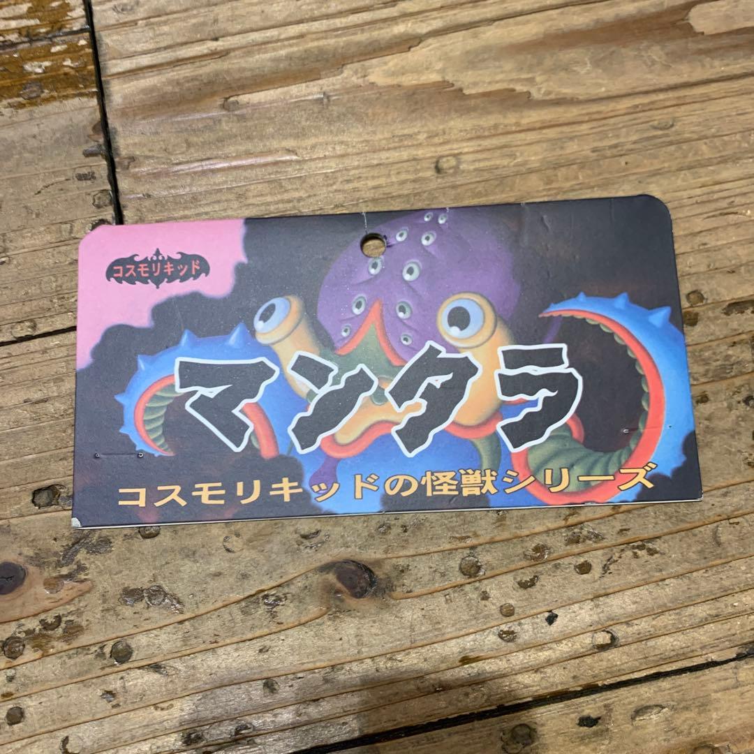 R*r様 コスモリキッド マンタラ　ジム ウードリング