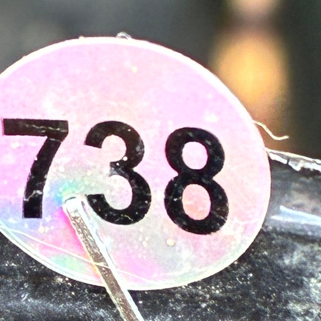 ま*ん様 ☘️ラスト☘️唯一無二☘️根充実❤️新芽(おそらく花芽)738⭐️極上