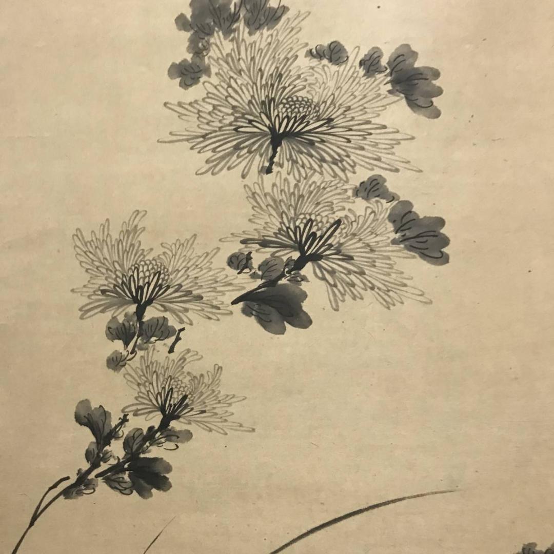 真作】泉州/菊図/菊花図/掛軸☆宝船☆AB-668の通販｜www.k4fashion.com