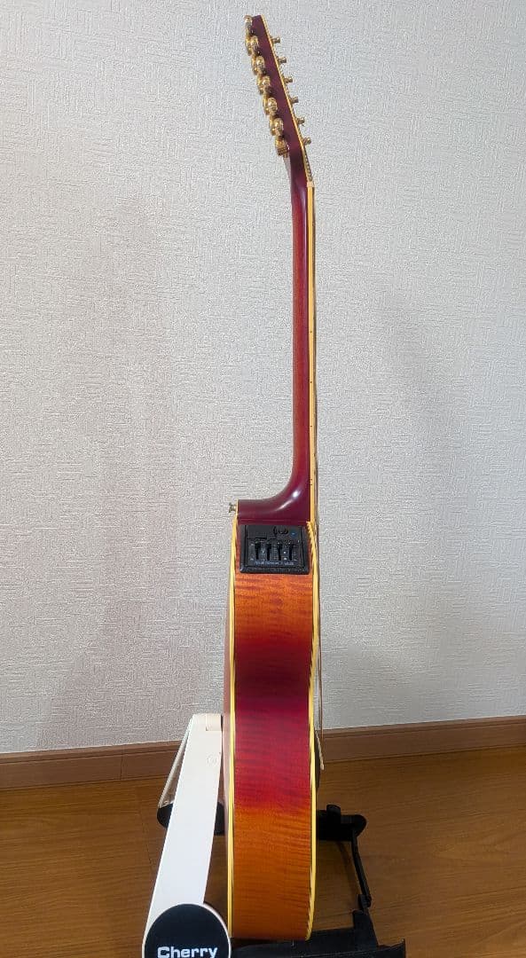 Takamine NPT-115-6NT 長渕剛　JAPANモデル
