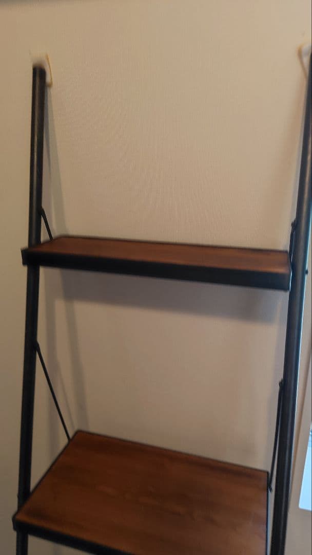 JOURNAL STANDARD FURNITURE ☆ シノンラダーシェルフ