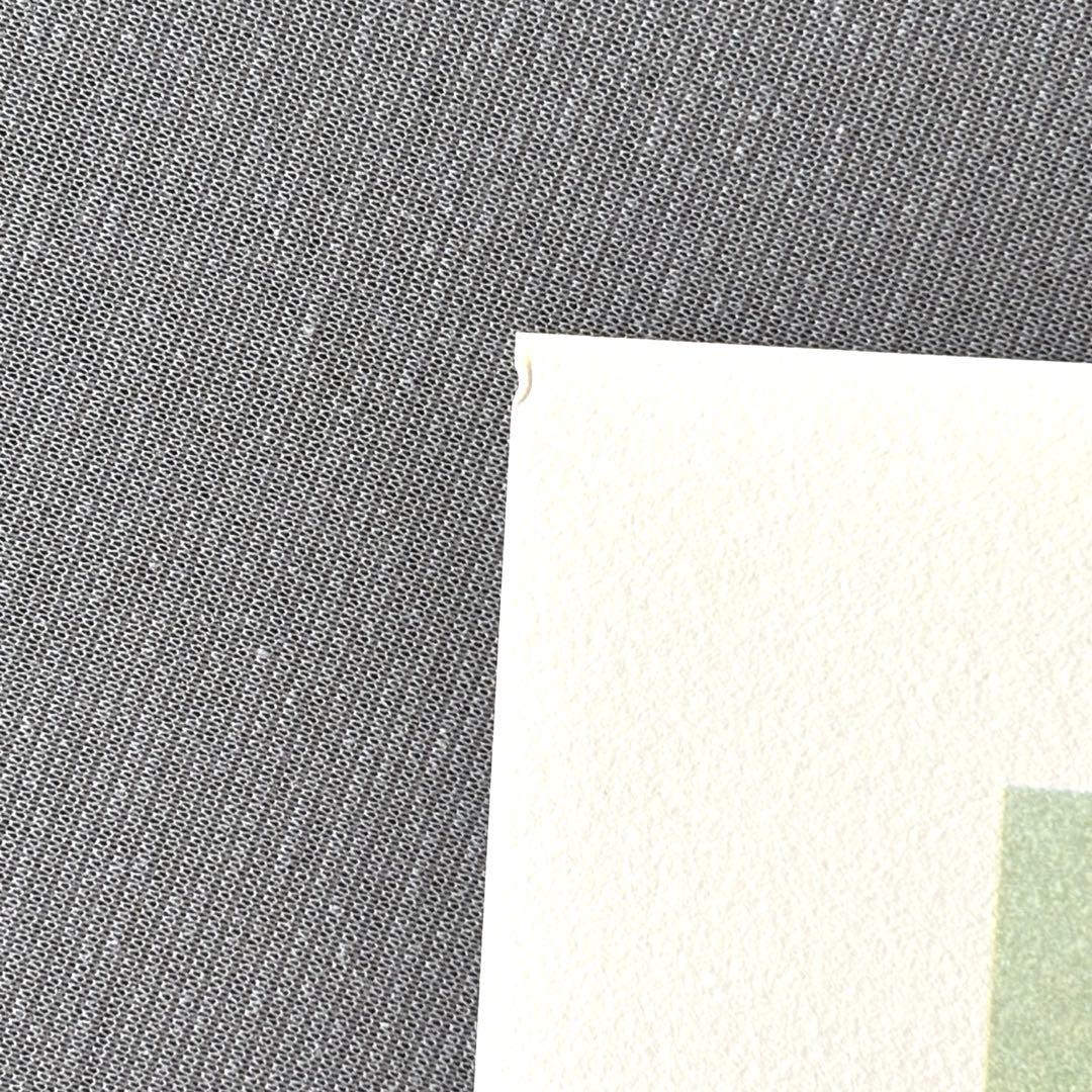 安彦良和/機動戦士ガンダム 20周年記念 リトグラフ2枚組 - メルカリ