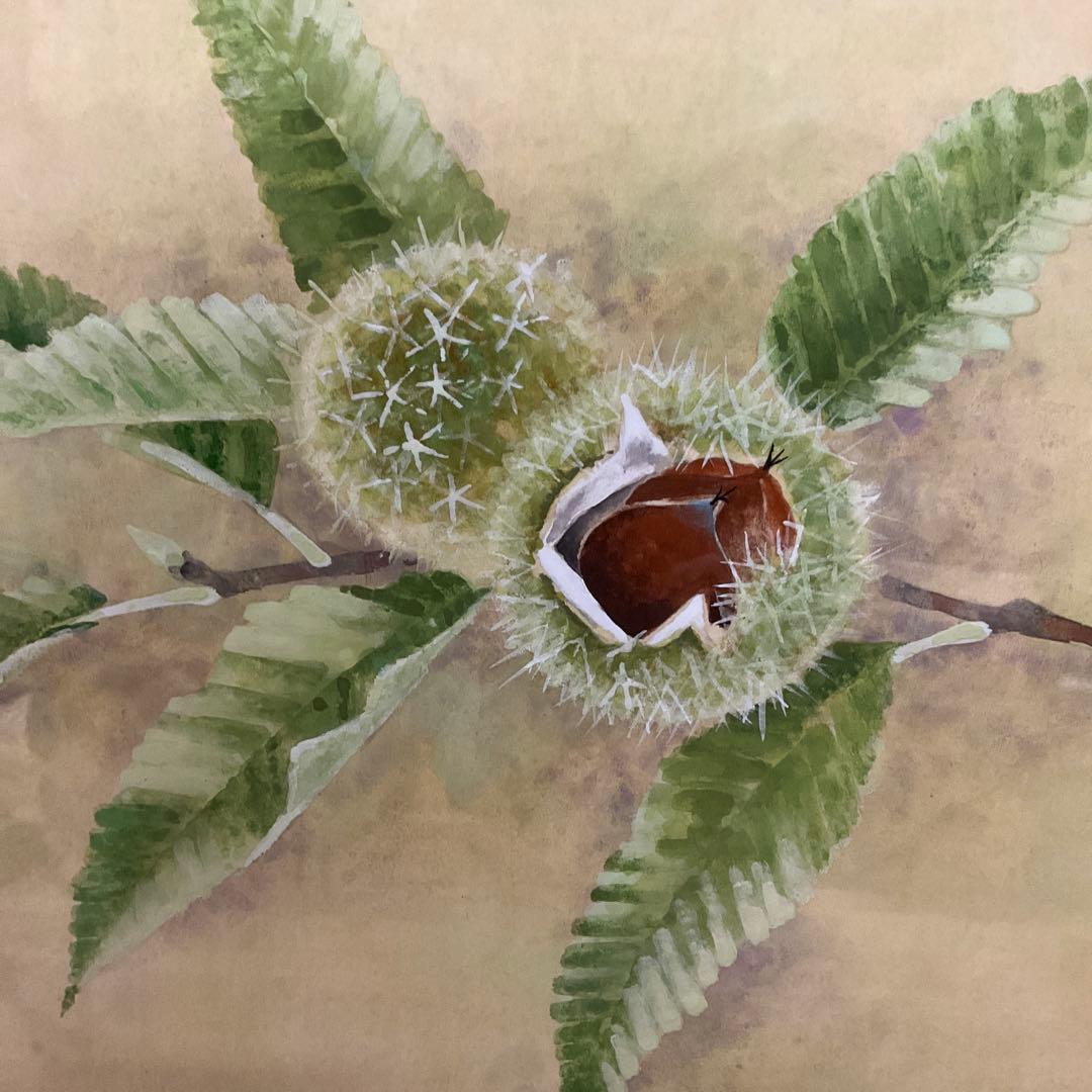 栗　 日本画 絵画 額装