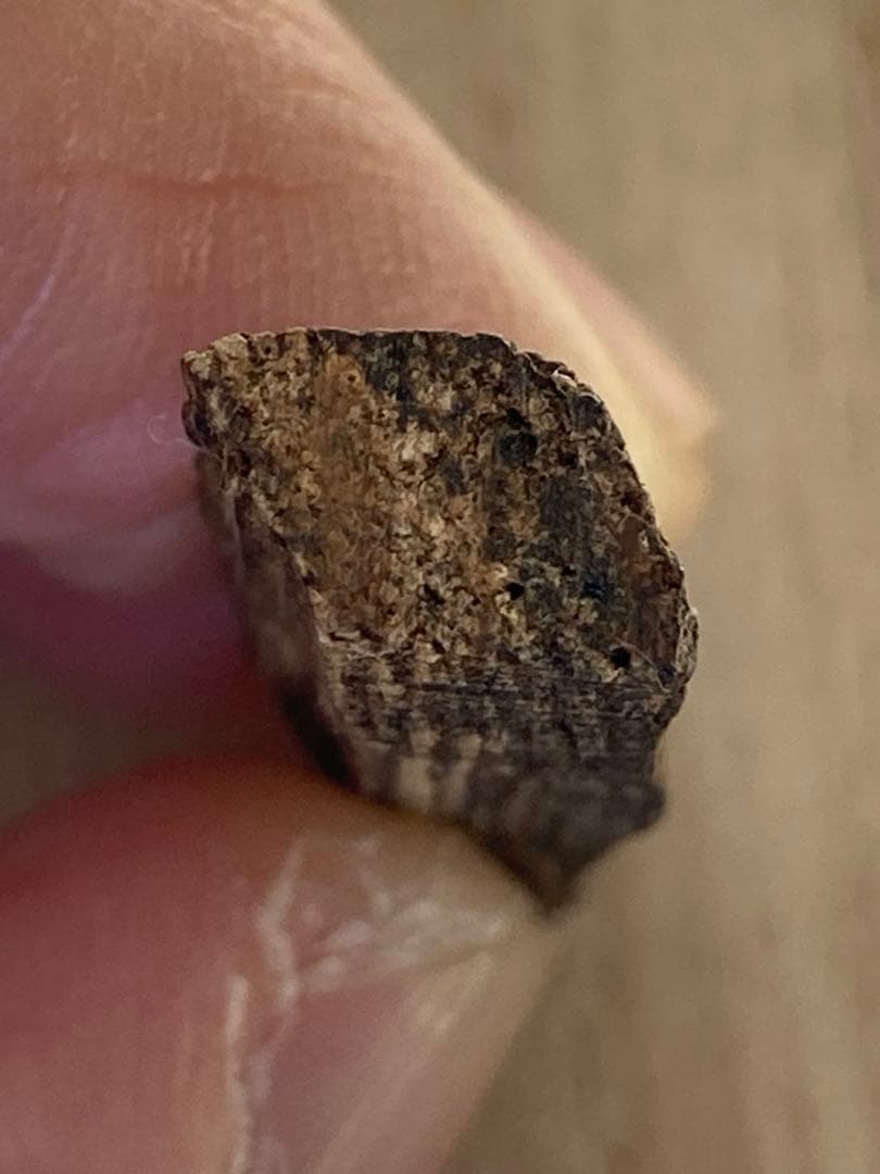 沈水 沈香 香木 極上タニ　2.85グラム