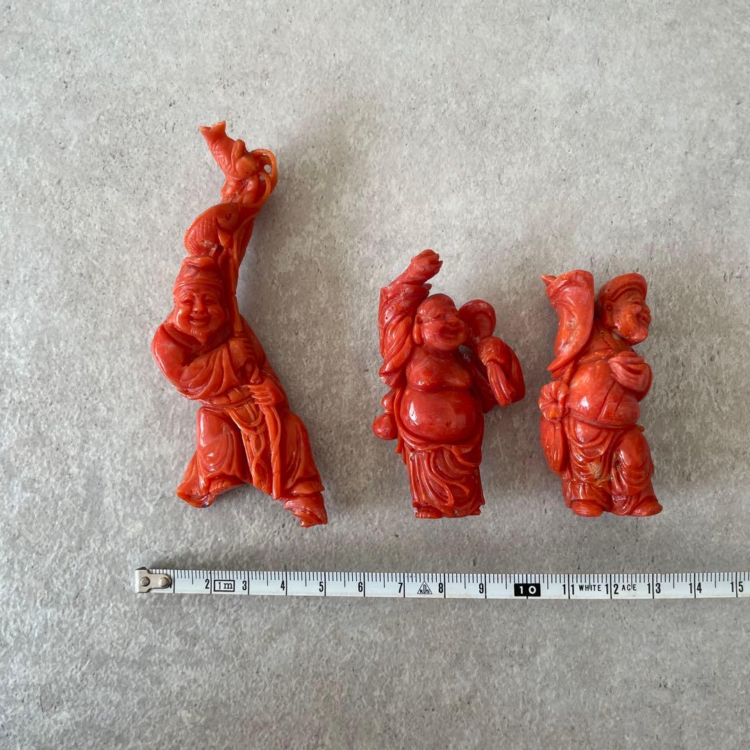 【サンゴを買収する様】ご確認用