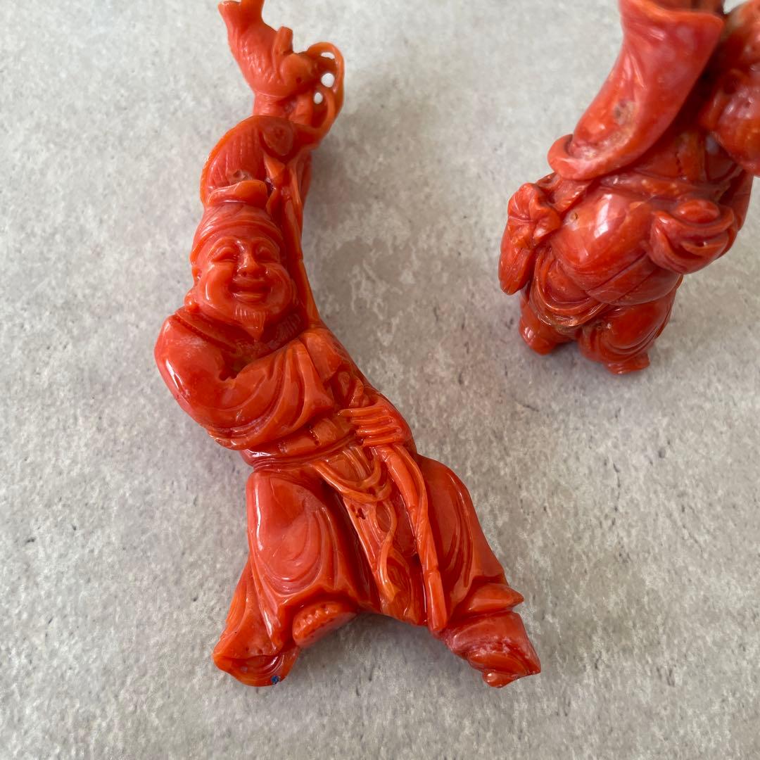 【サンゴを買収する様】ご確認用