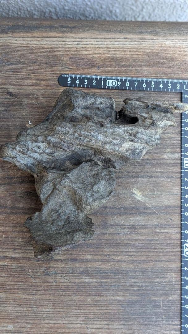 古谷石　水石　鑑賞石