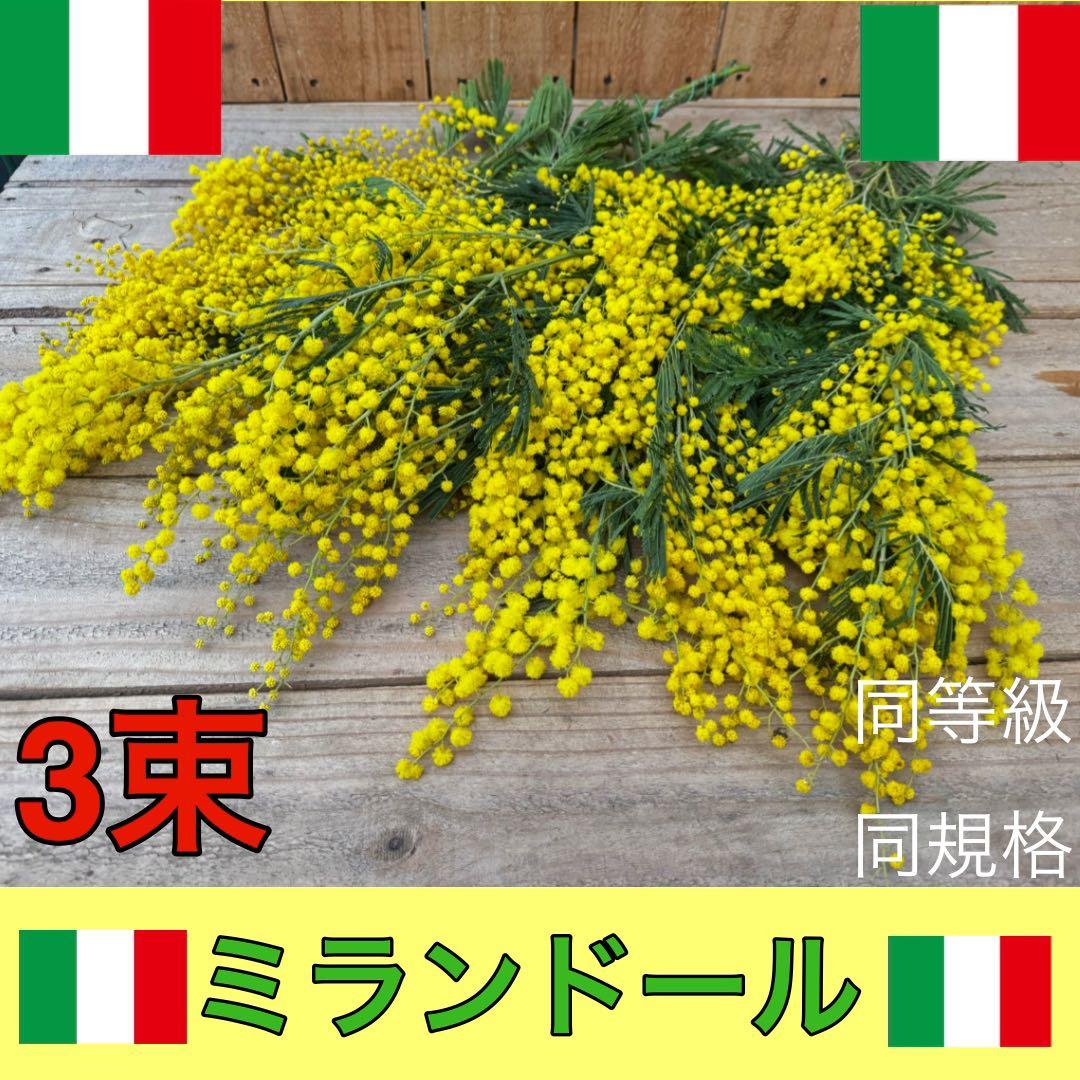 み様 リクエスト 4点 まとめ商品