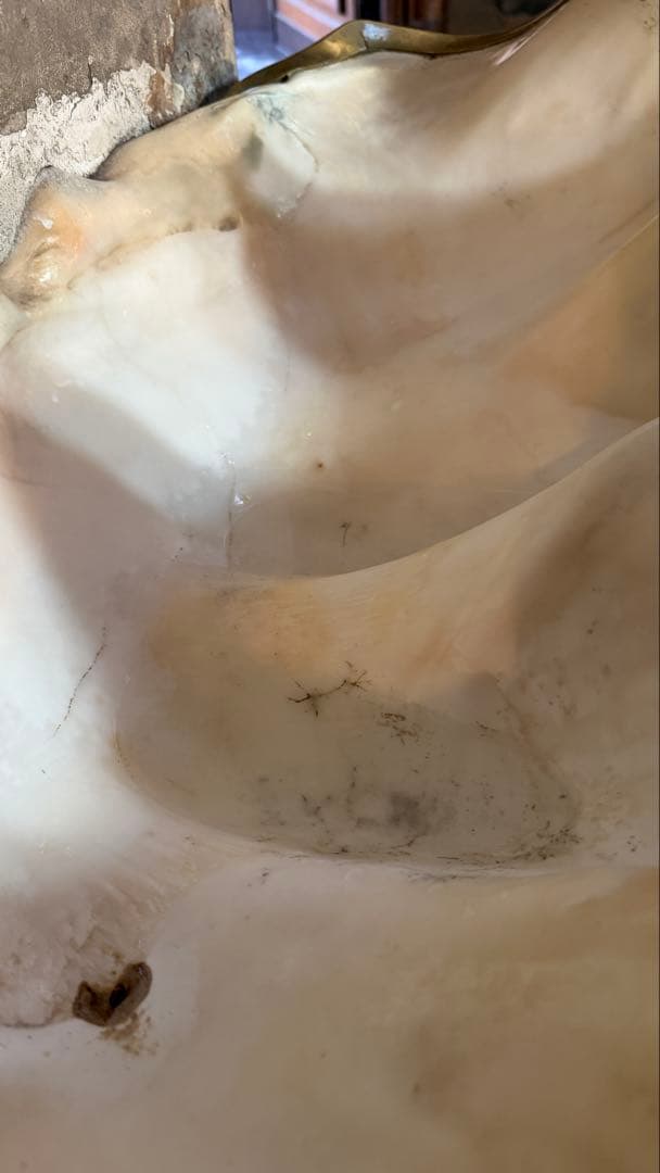 現品のみ✨新年初売りスタート 聖Perl✨皇からの霊秘メッセージカード付き