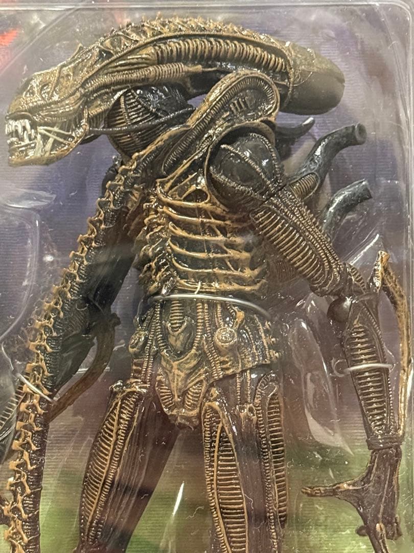 NECA エイリアン Xenomorph Warrior