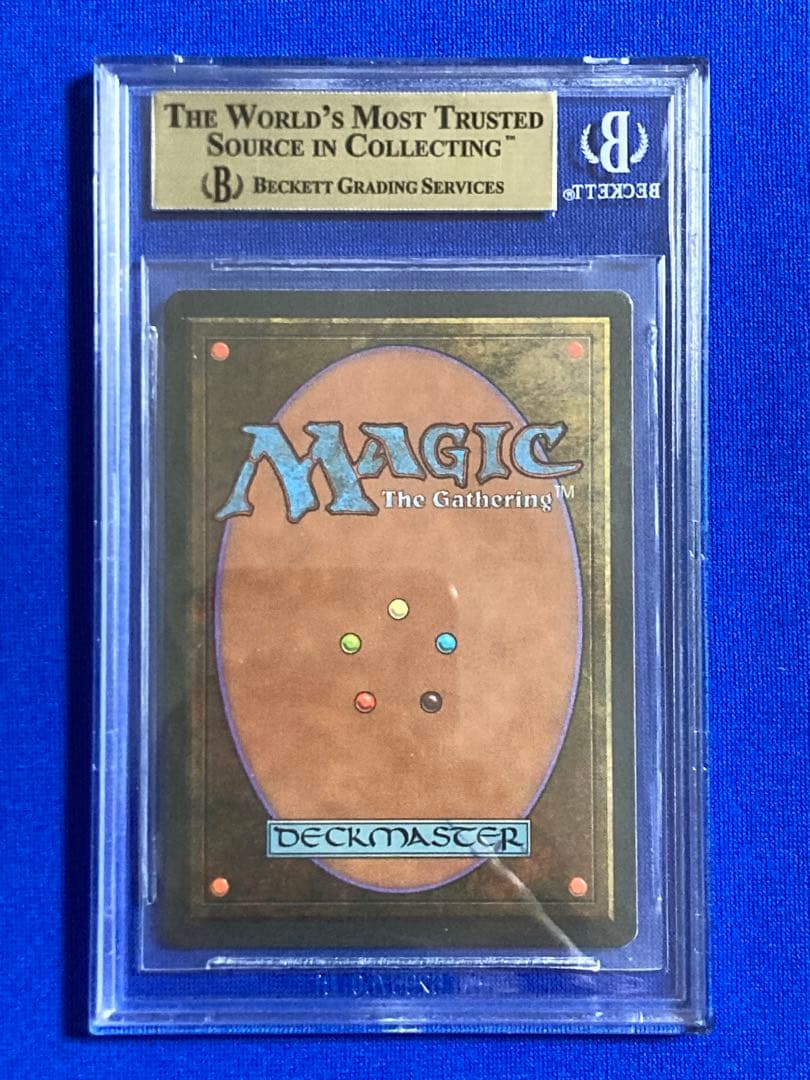 イタリア語 Revised Tundra dual land BGS9.5鑑定品