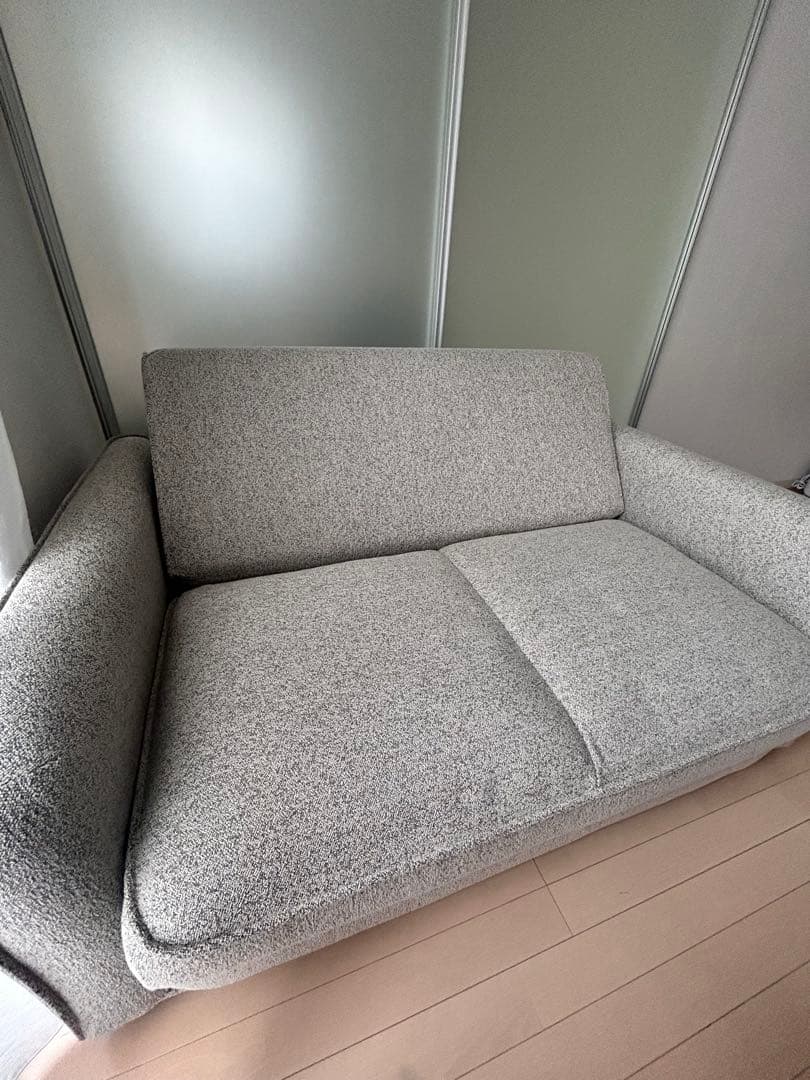 【⭐︎即購入OKさんです⭐︎さま専用】コアラソファーベッド CUSHY