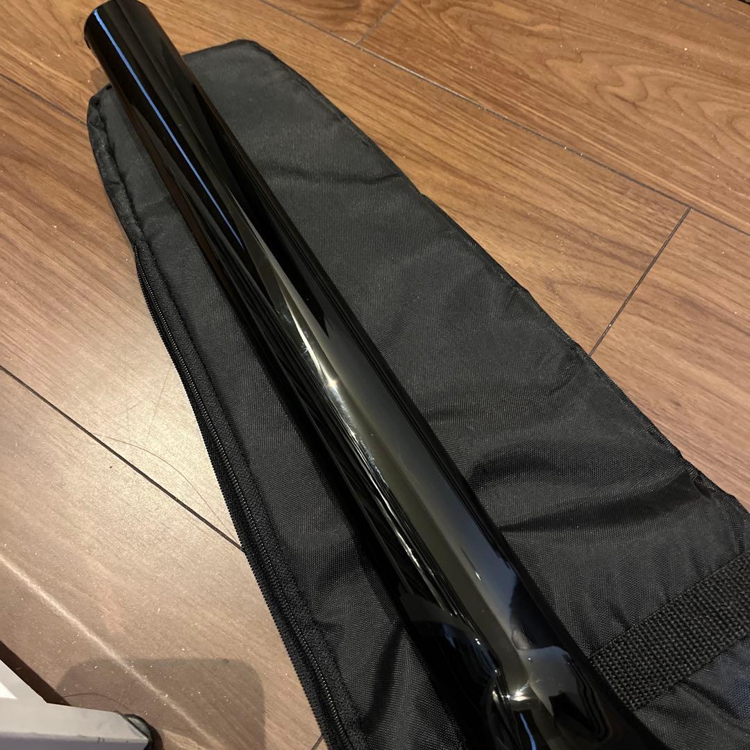 ギター Spirit by Steinberger GT PRO