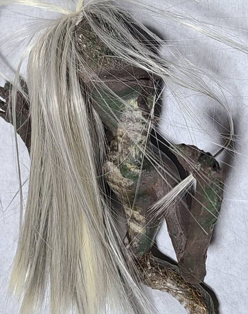 一点物 妖怪 蛇女 ミイラ ひらくち様 怪奇標本 ミイラ 化物語 - メルカリ