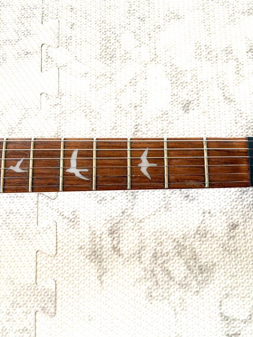 PRS SE Custom　ポールリードスミス　　　　　ケース付き
