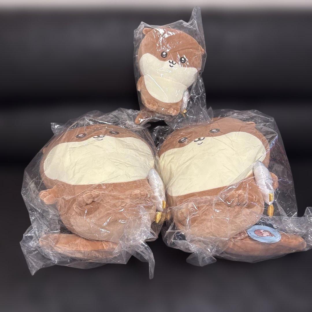 ほぼ未使用 140サイズぱんぱん ナガノ 水族館 あざらし カワウソ D賞 シオ