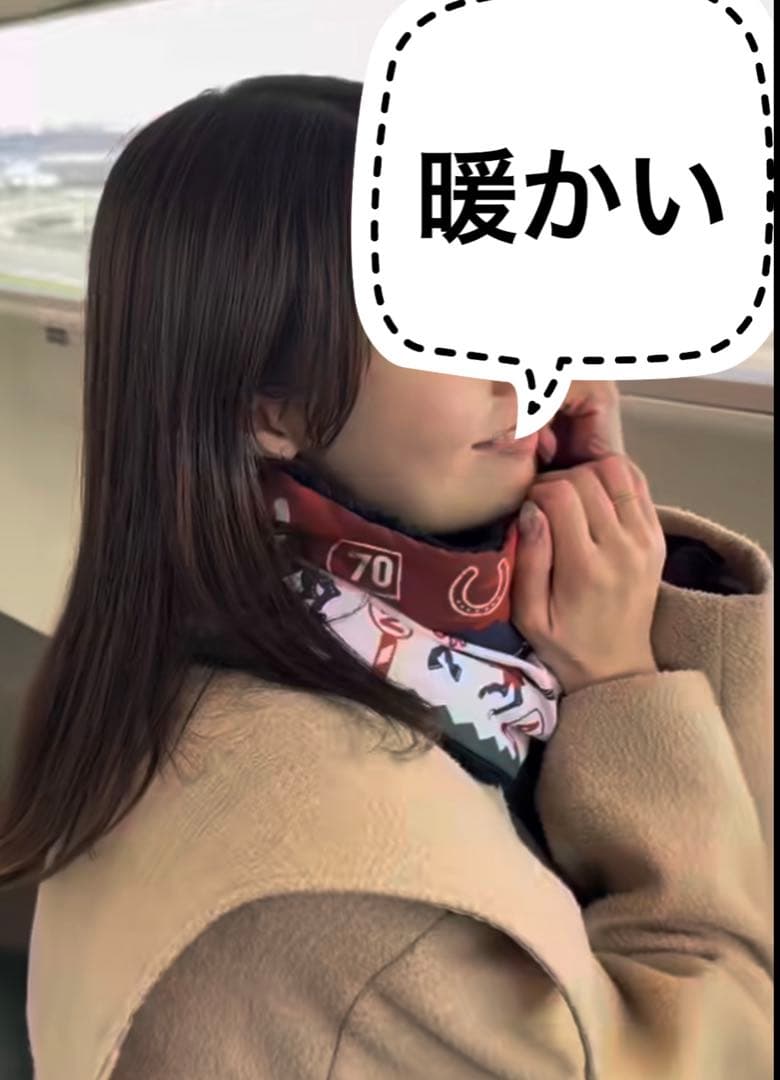 中山競馬場・非売品】有馬記念 JRA公式 記念品フルセット - メルカリ