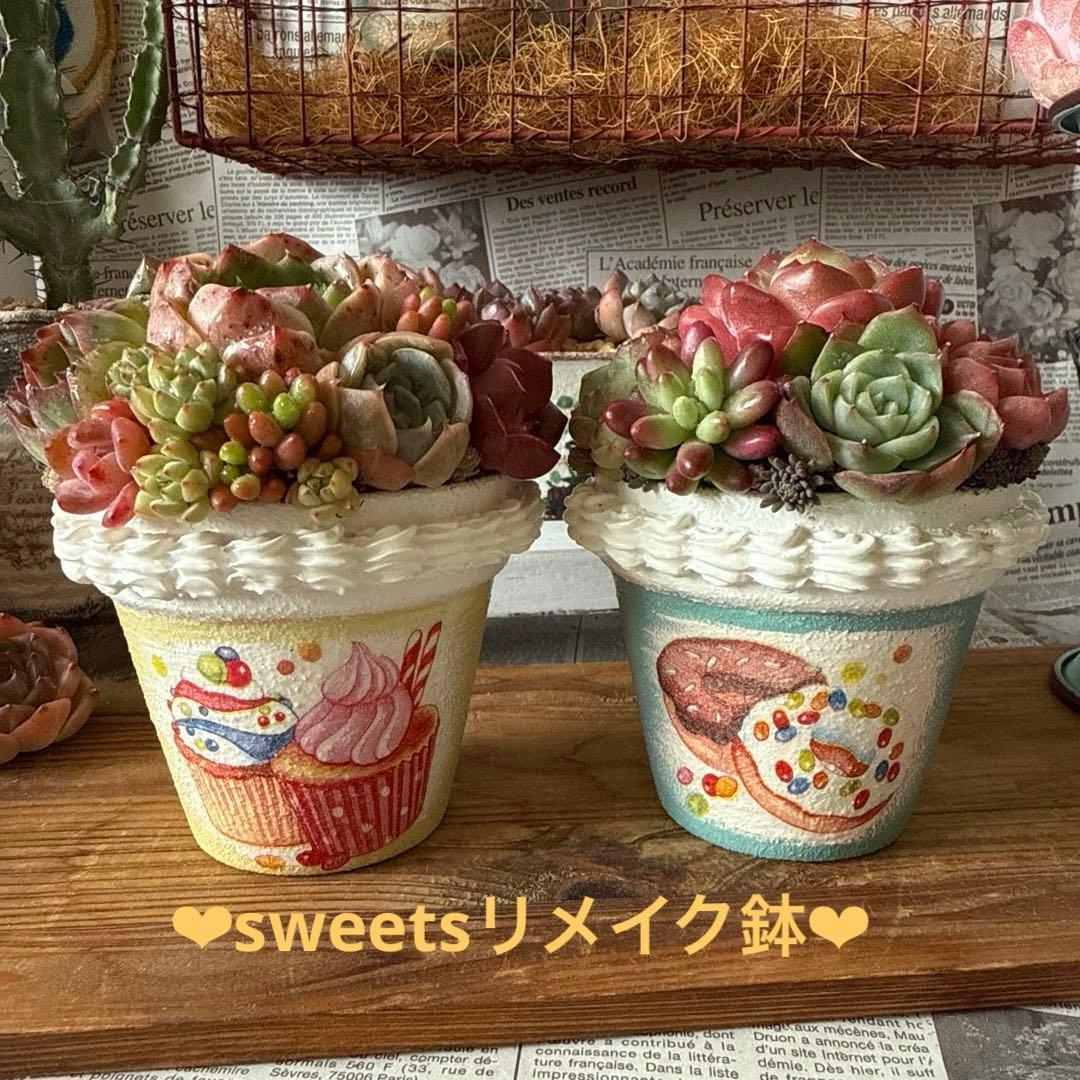 ❤︎sweets whip❤︎ そのまま飾れる多肉植物の寄せ植えリメ鉢ちまリメ