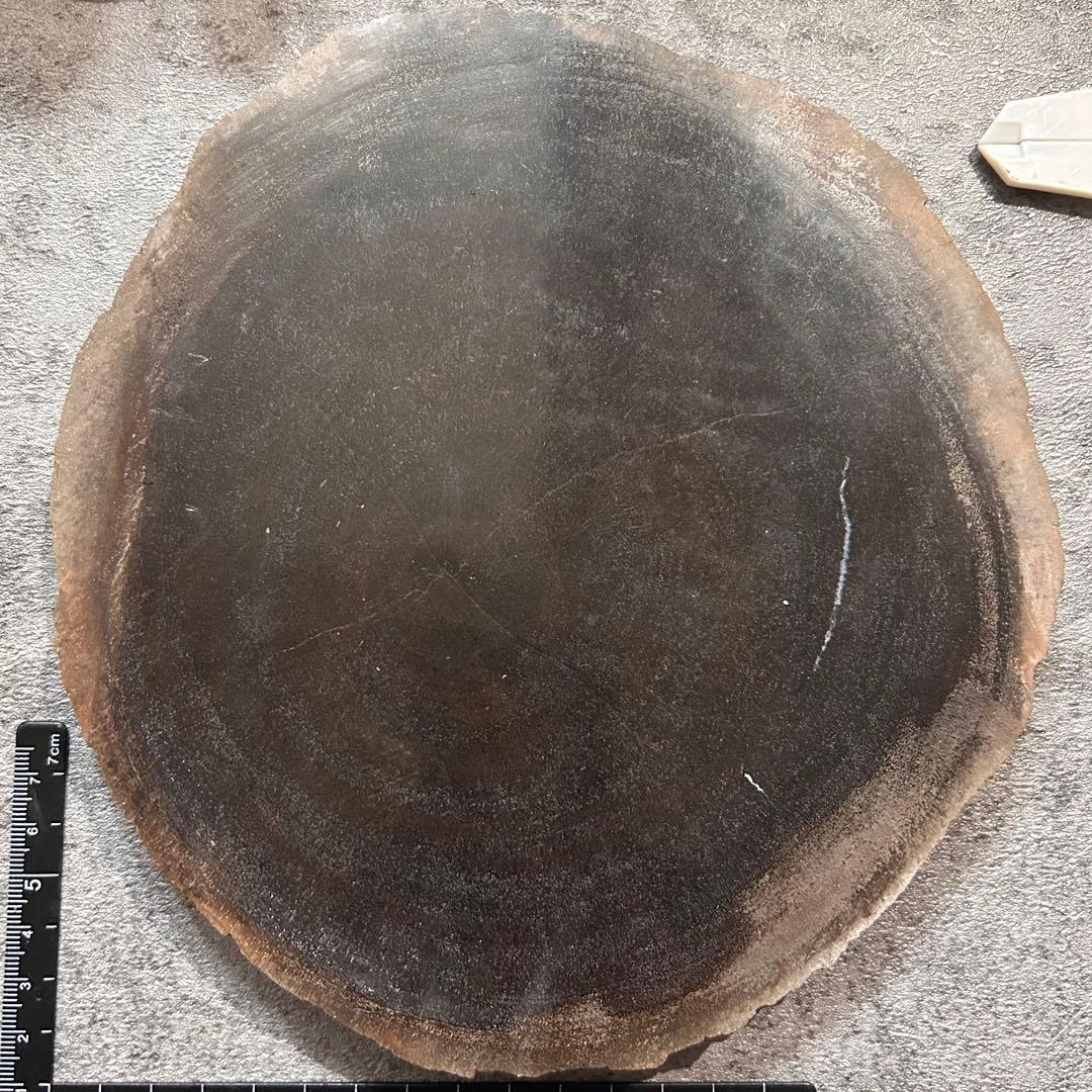 天然石　珪化木　スライス