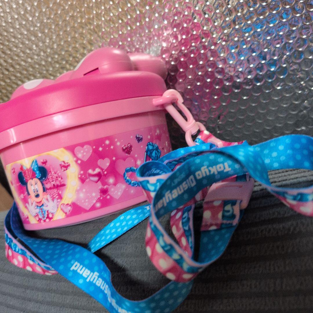 ポップコーンバケット　パルパルーザ　ミニー　ファンダーランド　ディズニーランド