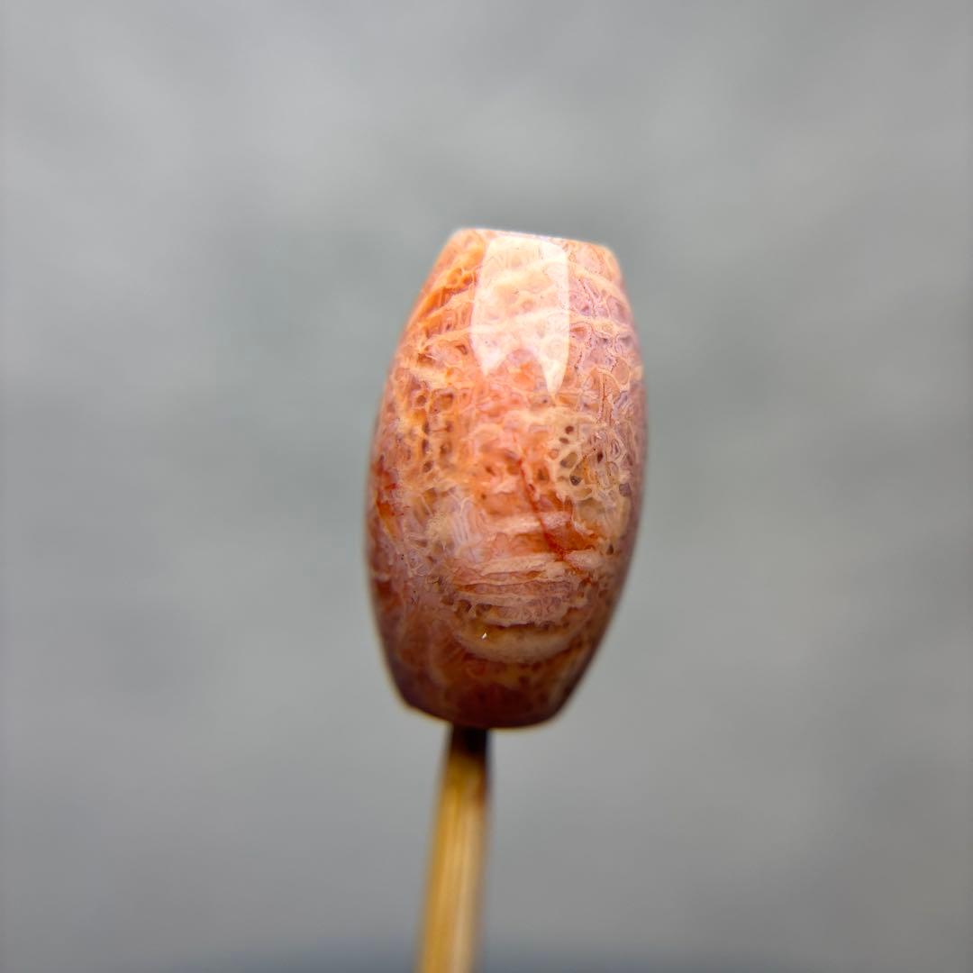 もんちゃんフォッシルコーラル　天珠　1-331