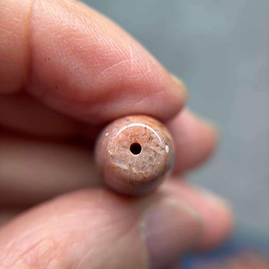 もんちゃんフォッシルコーラル　天珠　1-331