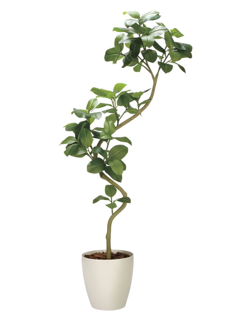 光触媒　人工観葉植物　フェイクグリーン　ツイストアルテシマ2.1m