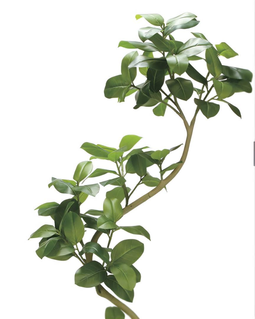 光触媒　人工観葉植物　フェイクグリーン　ツイストアルテシマ2.1m