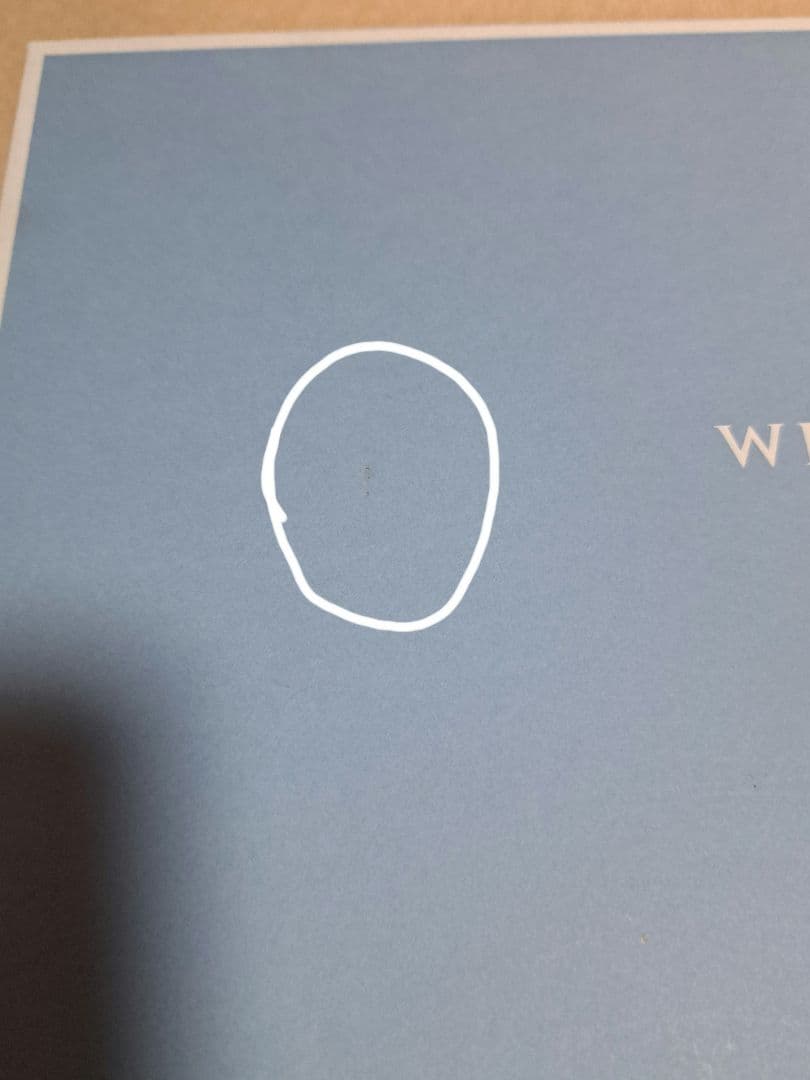 ウェッジウッド インタグリオマグカップ プラチナダイヤディッシュペアセット